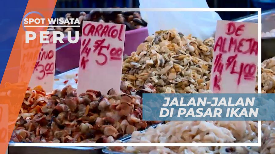 Berburu Hasil Laut yang Segar di Pasar Ikan Tradisional Pesquero, Peru