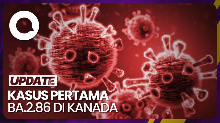Wanti-wanti WHO Usai Kanada Temukan Kasus Pertama Omicron BA.2.86
