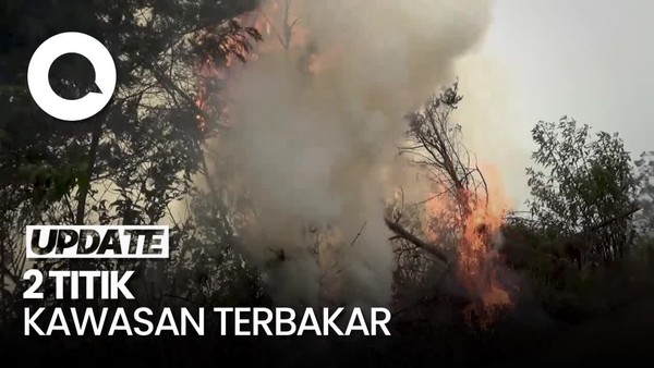 Kawasan Hutan di TNBTS Terbakar, Api Masih Belum Bisa Dipadamkan!