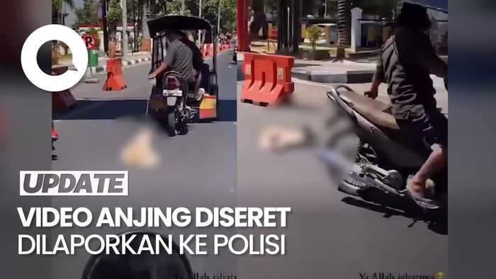 Aksi Sadis Anjing Diseret Pakai Bentor di Makassar, Polisi Turun Tangan
