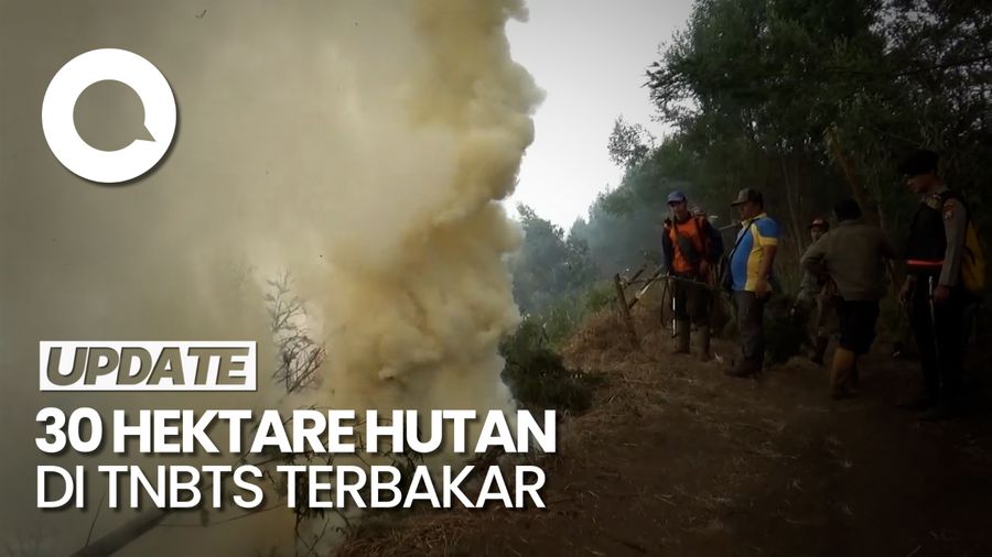 Kebakaran Hutan TNBTS Meluas, 30 Hektare Lahan Ludes Dilahap Api