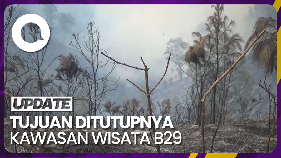Dinpar Kabupaten Lumajang Tutup Wisata B29 Imbas Kebakaran di TNBTS