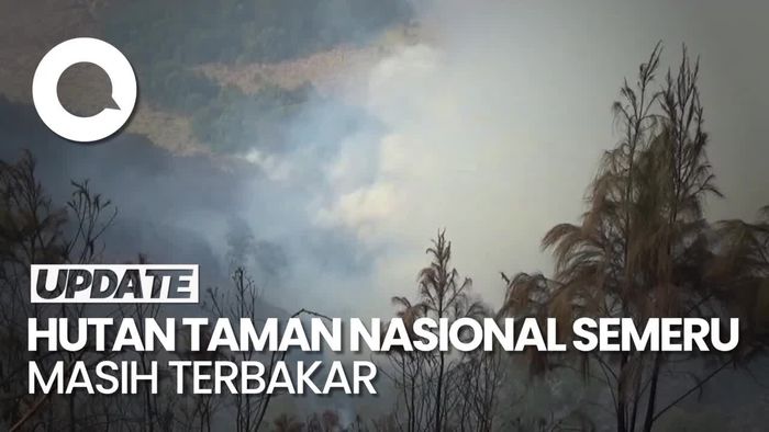  Kebakaran Hutan TNBTS Masih Belum Padam, Ini Kendalanya