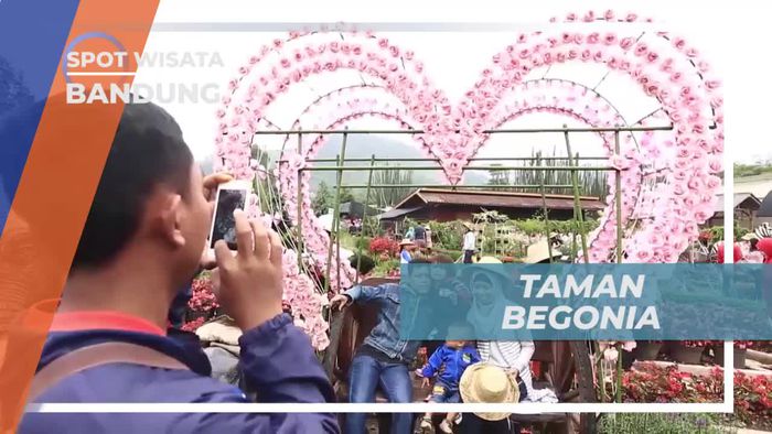 Berkunjung ke Taman Begonia Bandung