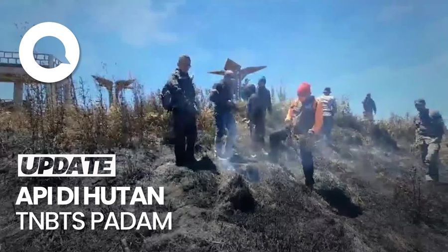 Kebakaran di Hutan TNBTS Lumajang Padam