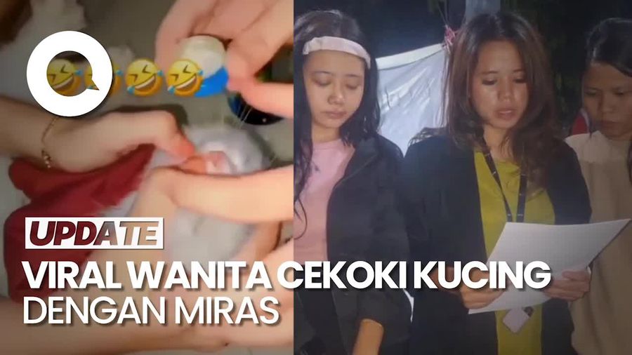 Video Viral Kucing Dicekoki Miras oleh 3 Wanita di Padang