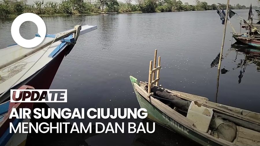 Penampakan Sungai Ciujung Serang yang Kini Menghitam, Ikan-ikan Mati