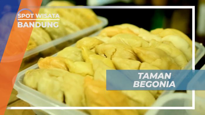 Berburu Durian Khas Medan di Warung Ucok