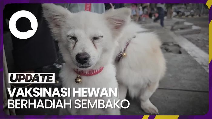 Berhadiah Sembako, Vaksinasi Hewan Penular Rabies di Bali Diserbu Warga