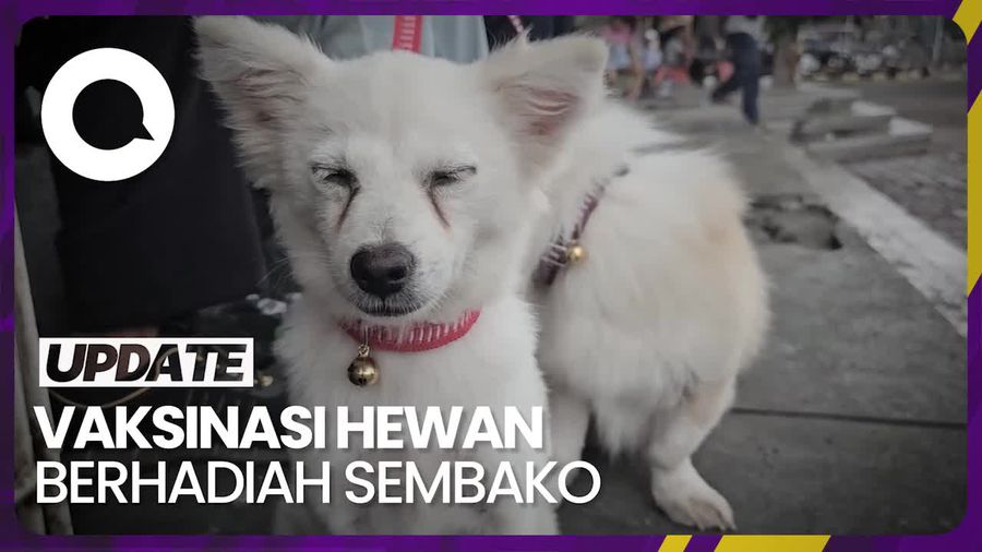 Berhadiah Sembako, Vaksinasi Hewan Penular Rabies di Bali Diserbu Warga