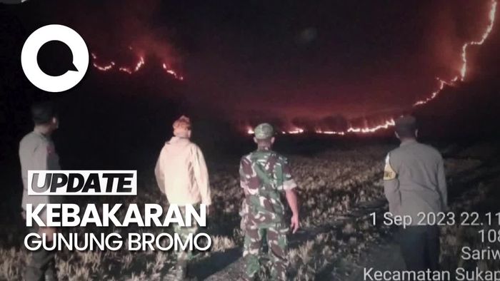 Bukit Teletubies Bromo Terbakar Gegara Pengunjung Prewedding