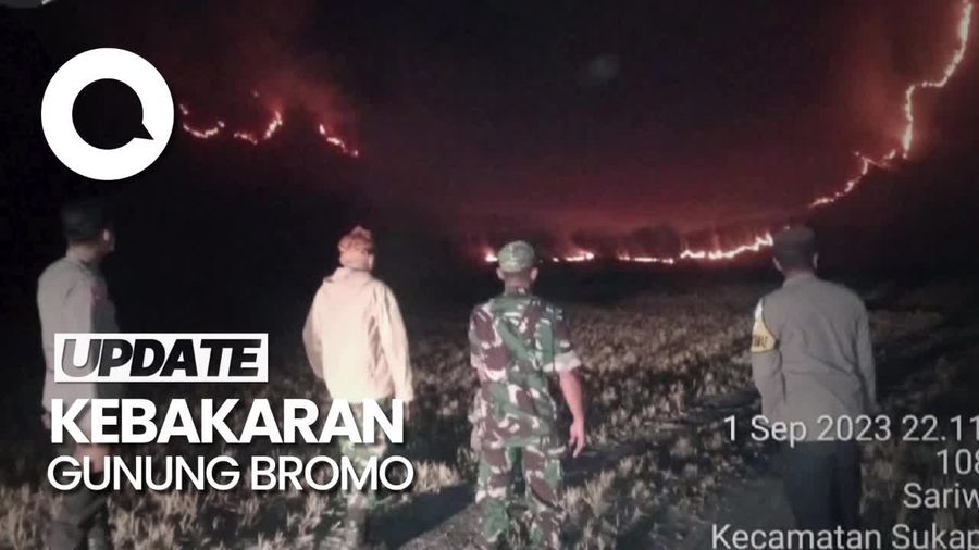 Bukit Teletubies Bromo Terbakar Gegara Pengunjung Prewedding