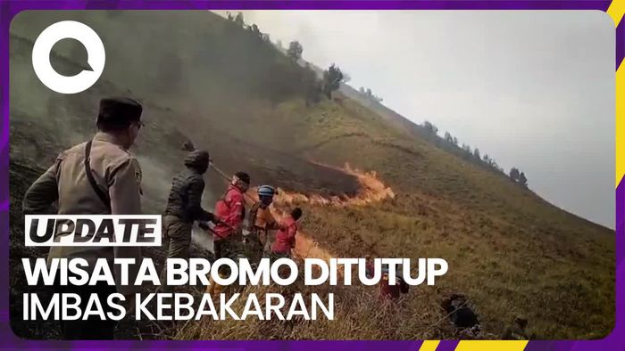 Nasib Wisata Bromo Usai Bukit Teletubbies Kebakaran Akibat Flare Prewedding