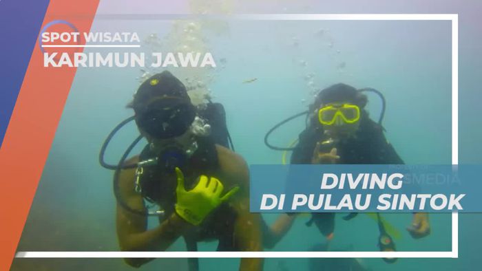 Diving Menikmati Keindahan Bawah Laut Pulau Sintok Karimun Jawa