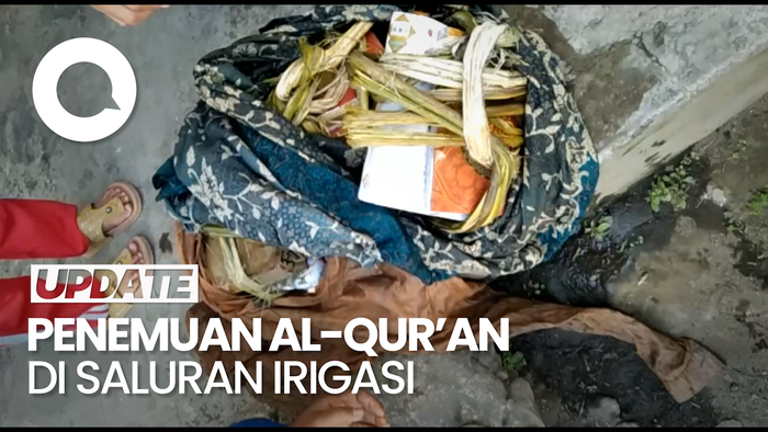 Geger 16 Al-Quran Ditemukan di Saluran Irigasi Sawah Lumajang