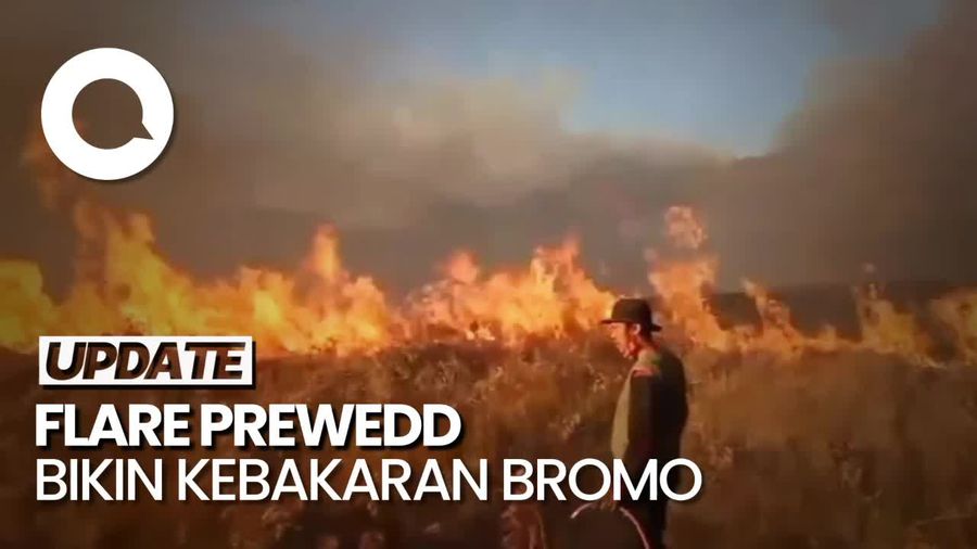 Fakta-fakta Bukit Teletubbies Bromo Terbakar karena Flare Prewedding