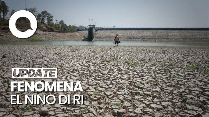 Sampai Kapan Fenomena El Nino Hantam RI? Ini Kata BMKG