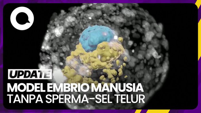 Ilmuwan Israel Kembangkan Model Embrio Manusia Tanpa Sperma-Sel Telur