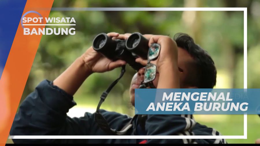 Menjaga Kelestarian Keanekaragaman Jenis Burung di Balai Konservasi, Bandung
