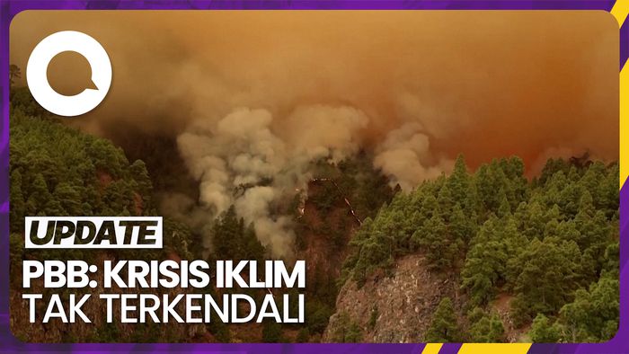 PBB soal Krisis Iklim: G20 Tanggung Jawab 80% atas Emisi Global
