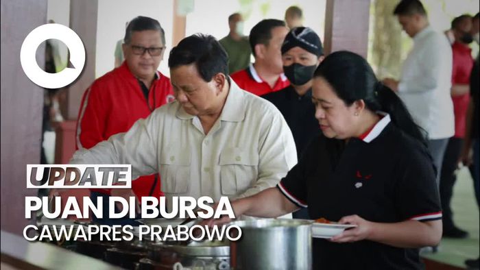 Fahri Hamzah Pernah Usulkan Puan Jadi Cawapres Prabowo, Tapi...