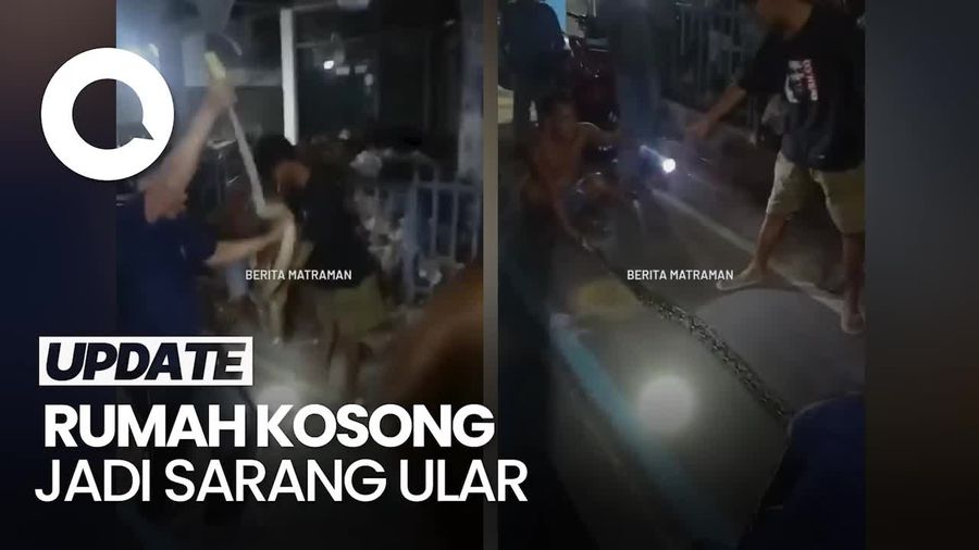 Rumah Kosong di Jaktim Jadi Sarang Ular Sanca, 12 Ekor Ditangkap