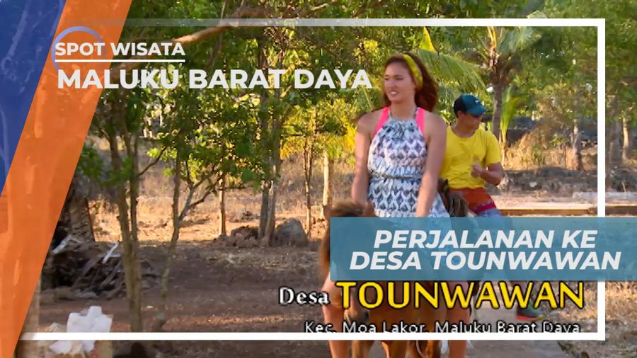 Menikmati Berkuda Menyusuri Desa Tounwawan Menuju Padang Savana, Maluku