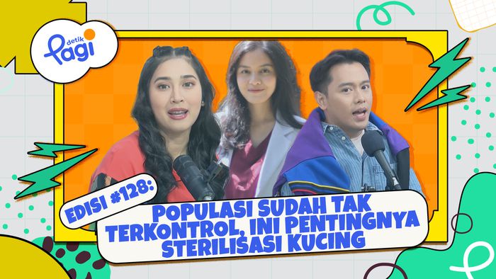 Populasi Sudah Tak Terkontrol, Ini Pentingnya Sterilisasi Kucing