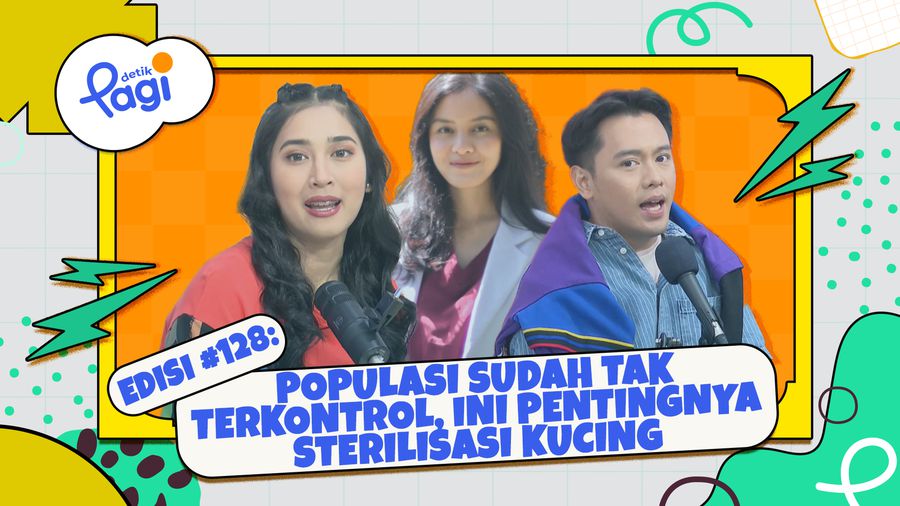Populasi Sudah Tak Terkontrol, Ini Pentingnya Sterilisasi Kucing