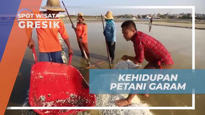 Melihat Kehidupan Seorang Petani Garam Di Gresik, Jawa Timur