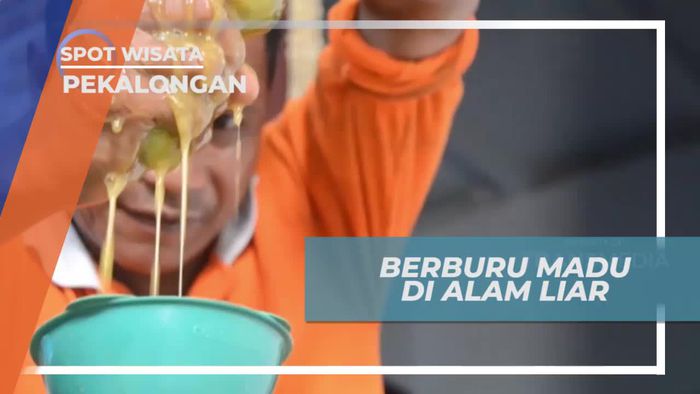 Berburu Madu di Alam Liar Pekalongan