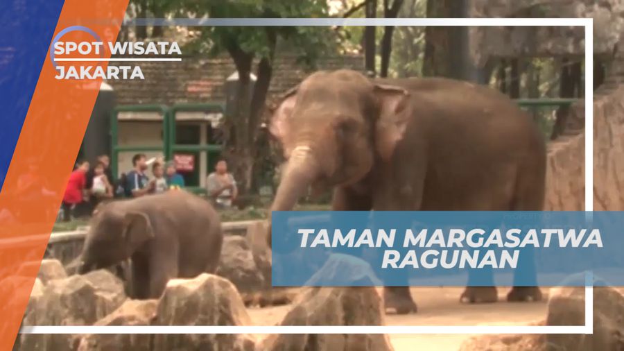 Mengisi Liburan Seru, Berwisata di Taman Marga Satwa Ragunan, Jakarta