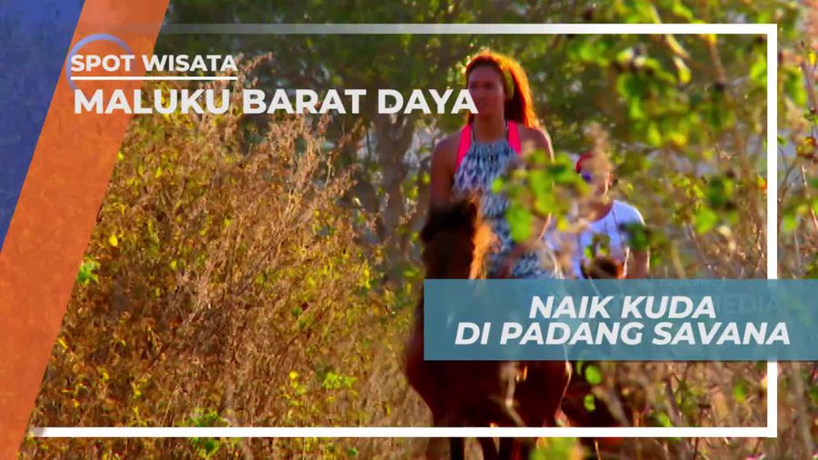Naik Kuda di Padang Savana Maluku Barat Daya