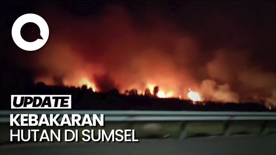 Penampakan Kebakaran Hutan Kepung Tol Palembang-Indralaya