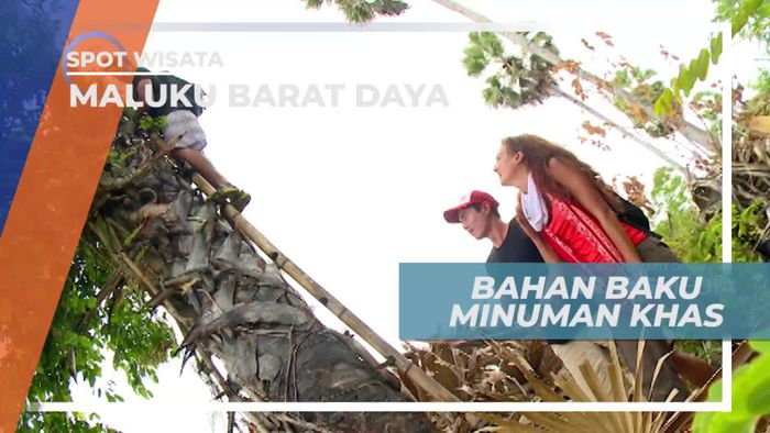 Sari Pati Pohon Lontar, Bahan Dasar Minuman Khas Pulau Leti Maluku Barat Daya