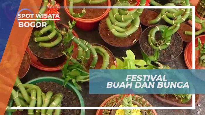 Kemeriahan Festival Buah dan Bunga di Kota Hujan Bogor