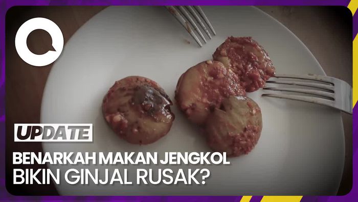 Fakta-fakta Makan Jengkol Bikin Ginjal Rusak, Benarkah?