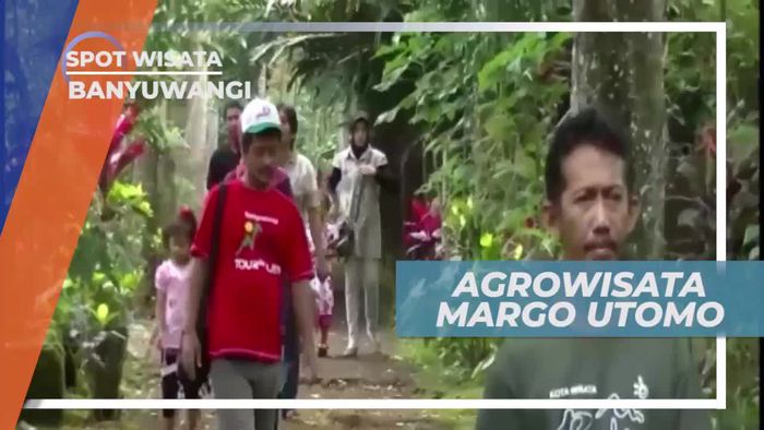 Intip Pembuatan Keju Kelas Dunia di Agrowisata Margo Utomo Banyuwangi