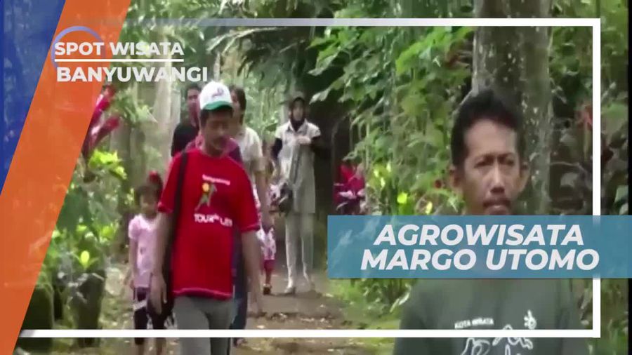 Intip Pembuatan Keju Kelas Dunia di Agrowisata Margo Utomo Banyuwangi