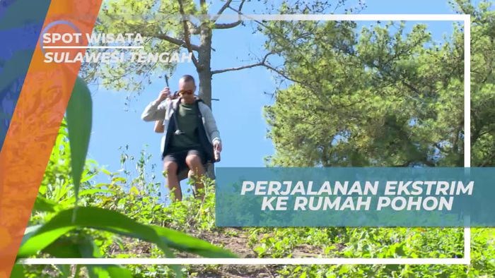 Melintasi Turunan Terjal Menuju Rumah Pohon Bukit Matantimali Sulawesi Tengah