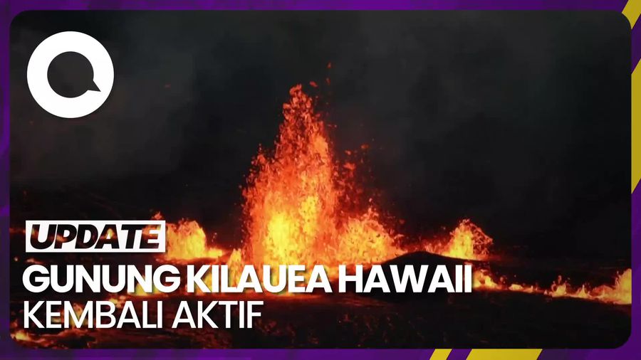 Aksi Ilmuwan Ambil Sampel Lava Gunung Kilauea yang Membara