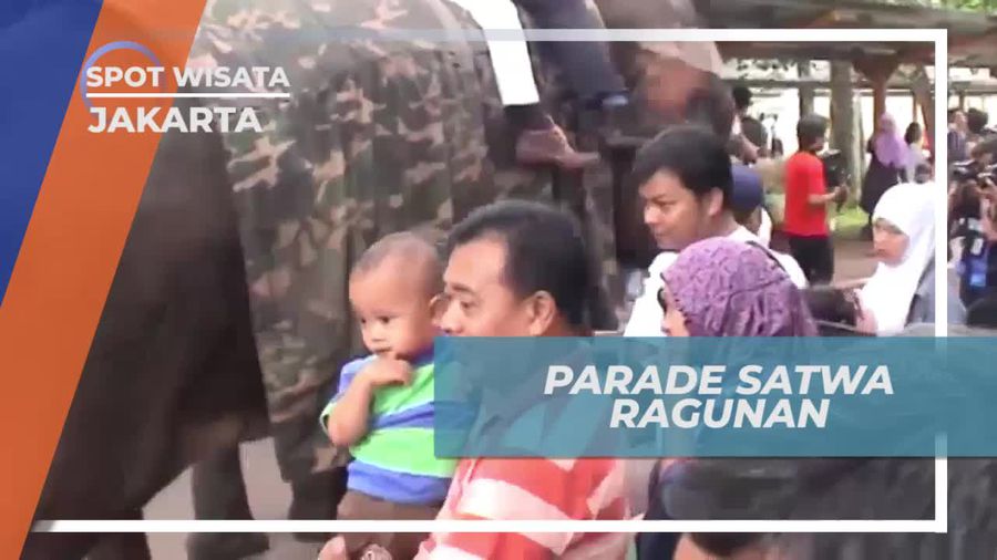 Parade Satwa, Berkeliling Kebun Binatang Ragunan Untuk Menghibur Pengunjung, Jakarta