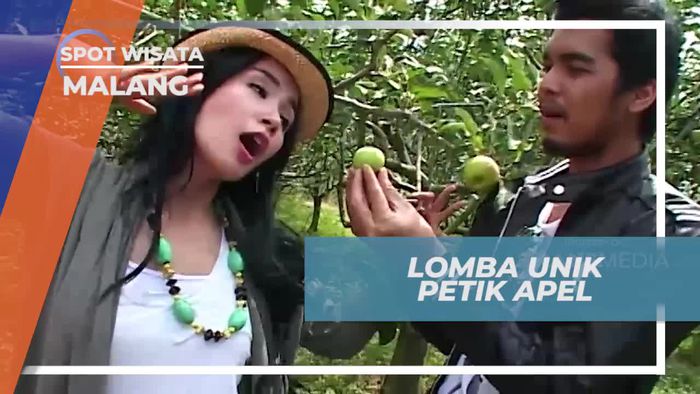 Tantangan Seru Lomba Petik Apel di Kusuma Agrowisata Kota Malang