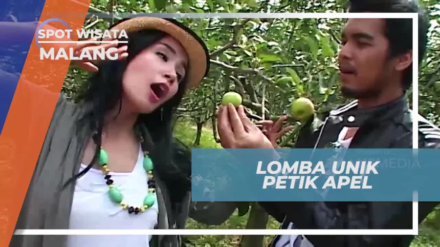 Tantangan Seru Lomba Petik Apel di Kusuma Agrowisata Kota Malang