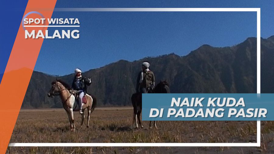 Serunya Naik Kuda Berkeliling Padang Pasir di Kaki Gunung Bromo