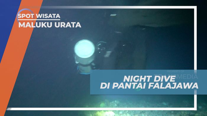 Sensasi Menikmati Kehidupan Bawah Laut Falajawa Saat Malam Hari, Ternate