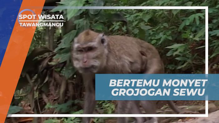 Vacation Seru, Mengunjungi Pesona Keindahan Alam Grojogan Sewu, Tawangmangu