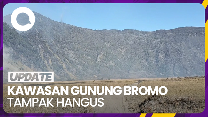 Pemandangan Terkini Kawasan Gunung Bromo Usai Kebakaran