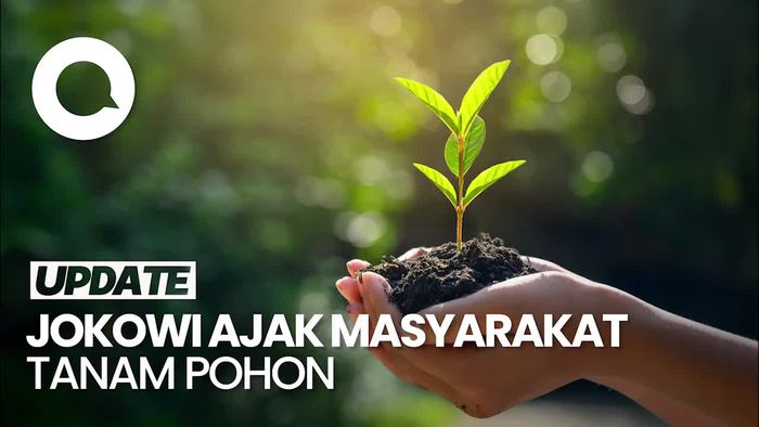 Jokowi: Nanti Kalau Musim Hujan Datang Semua Tanam Pohon, Setuju?