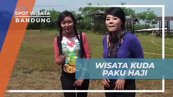 Berwisata Asik ke Kawasan Kuda Paku Haji Bandung